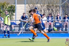 DSC_7611 (Large) Kopie (Large) (Small)