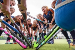 20170520 - DA - WAC31