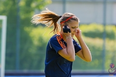 DA -- HGM - Wr. Neudorf46 (Small)