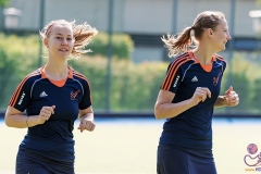 DA -- HGM - Wr. Neudorf47 (Small)