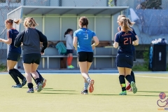 DA -- HGM - Wr. Neudorf48 (Small)