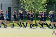 DA -- HGM - Wr. Neudorf51 (Small)