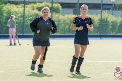 DA -- HGM - Wr. Neudorf52 (Small)