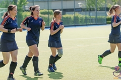 DA -- HGM - Wr. Neudorf53 (Small)