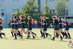 DA -- HGM - Wr. Neudorf55 (Small)