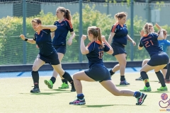 DA -- HGM - Wr. Neudorf57 (Small)