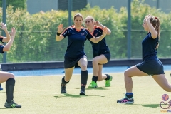 DA -- HGM - Wr. Neudorf58 (Small)