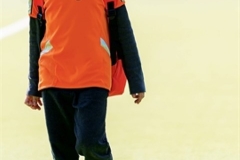 DA -- HGM - Wr. Neudorf62 (Small)