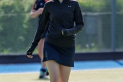 DA -- HGM - Wr. Neudorf65 (Small)