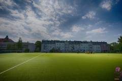 DA -- HGM - Wr. Neudorf68 (Small)