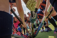 DA -- HGM - Wr. Neudorf71 (Small)