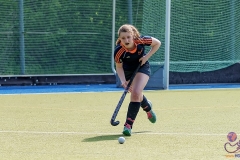 DA -- HGM - Wr. Neudorf74 (Small)