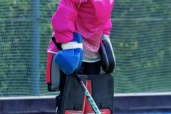 DA -- HGM - Wr. Neudorf81 (Small)