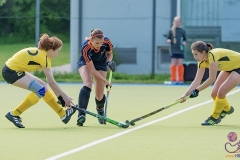 DA -- HGM - Wr. Neudorf83 (Small)