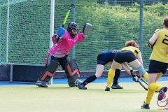 DA -- HGM - Wr. Neudorf84 (Small)