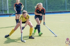 DA -- HGM - Wr. Neudorf89 (Small)