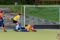 DSC_8068 Kopie (Large) Kopie (Large) (Small)