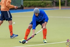 DSC_8195 copy (Large) Kopie (Large) (Small)