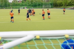 DSC_8223 copy (Large) Kopie (Large) (Small)