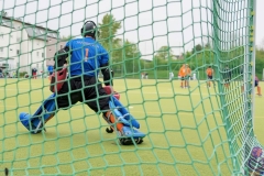 DSC_8242 copy (Large) Kopie (Large) (Small)