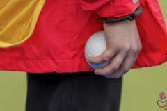 DSC_8284 copy (Large) Kopie (Large) (Small)