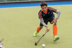 DSC_8299 copy (Large) Kopie (Large) (Small)