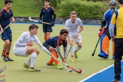 DSC_8347 copy (Large) Kopie (Large) (Small)