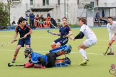 DSC_8392 copy (Large) Kopie (Large) (Small)