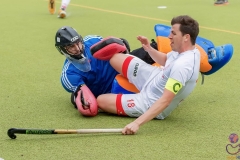 DSC_8397 copy (Large) Kopie (Large) (Small)