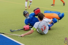 DSC_8398 copy (Large) Kopie (Large) (Small)