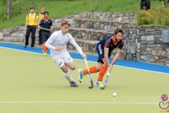 DSC_8423 copy (Large) Kopie (Large) (Small)