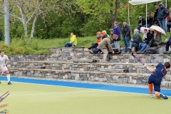 DSC_8424 copy (Large) Kopie (Large) (Small)