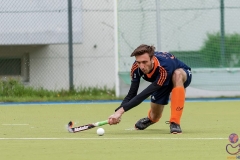 DSC_8428 copy (Large) Kopie (Large) (Small)