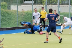 DSC_8458 copy (Large) Kopie (Large) (Small)