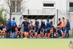 DSC_8480 copy (Large) Kopie (Large) (Small)