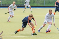 DSC_8486 copy (Large) Kopie (Large) (Small)