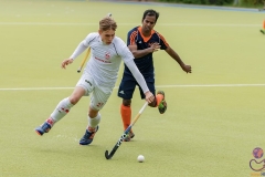 DSC_8494 copy (Large) Kopie (Large) (Small)