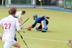 DSC_8495 copy (Large) Kopie (Large) (Small)