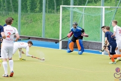 DSC_8529 copy (Large) Kopie (Large) (Small)