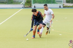 DSC_8555 copy (Large) Kopie (Large) (Small)