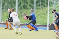 DSC_8576 copy (Large) Kopie (Large) (Small)