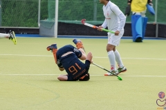 DSC_8605 copy (Large) Kopie (Large) (Small)