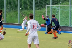 DSC_8619 copy (Large) Kopie (Large) (Small)