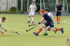 DSC_8638 copy (Large) Kopie (Large) (Small)