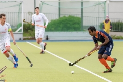 DSC_8698 copy (Large) Kopie (Large) (Small)