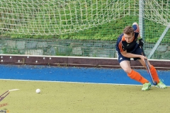 DSC_8720 copy (Large) Kopie (Large) (Small)