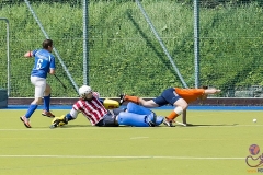 DC -- HGM - TLHC103 (Small)