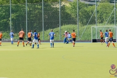 DC -- HGM - TLHC105 (Small)