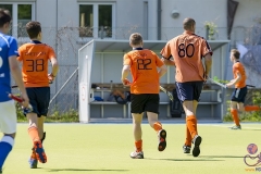 DC -- HGM - TLHC120 (Small)