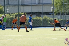 DC -- HGM - TLHC132 (Small)